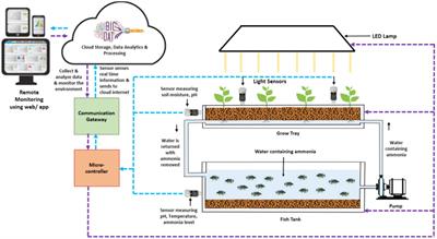 Recent developments and inventive approaches in vertical farming